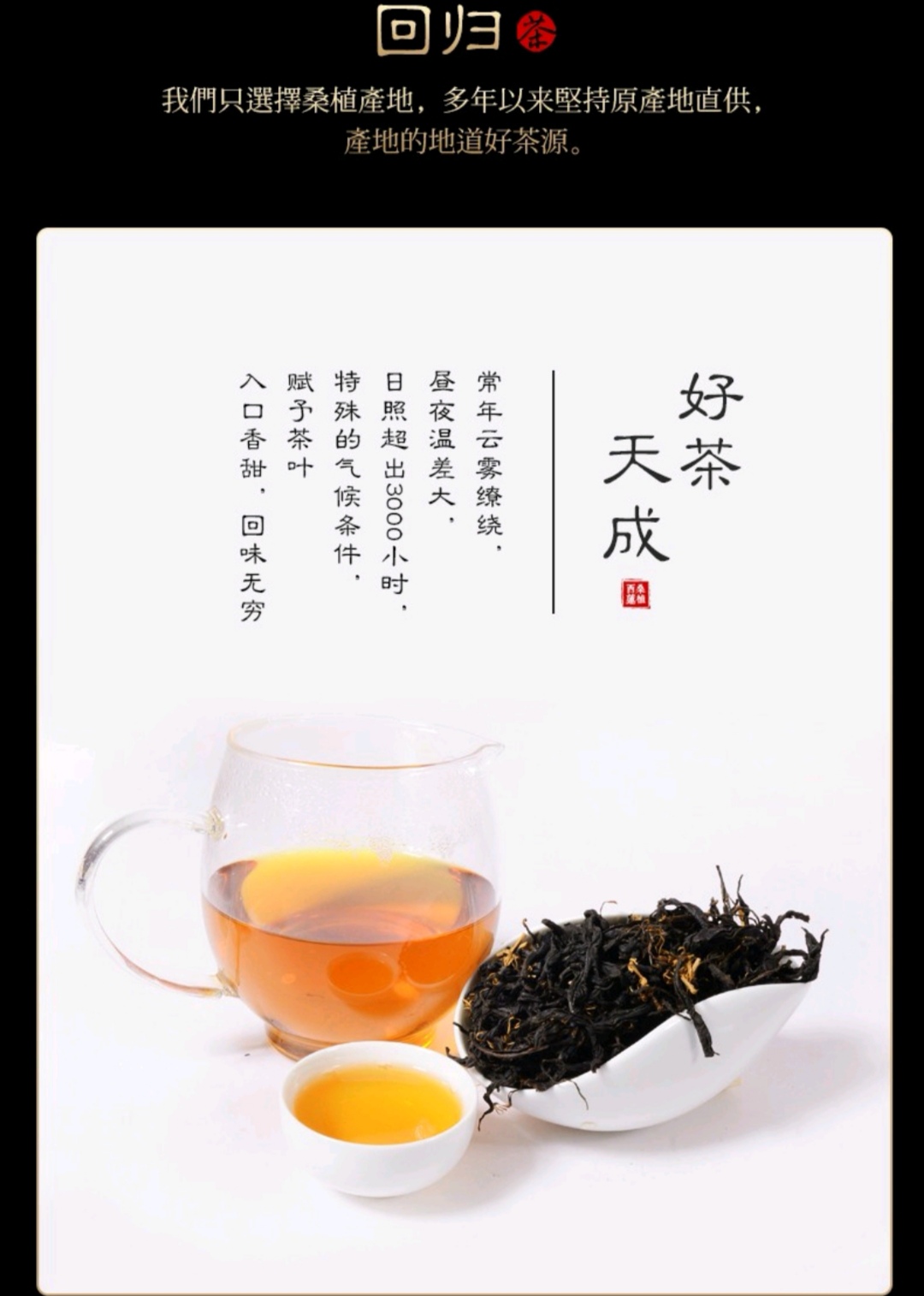 張家界林豐茶葉開發有限公司,張家界茶葉開發,茶葉種植,桑植白茶加工,帥湘紅銷售